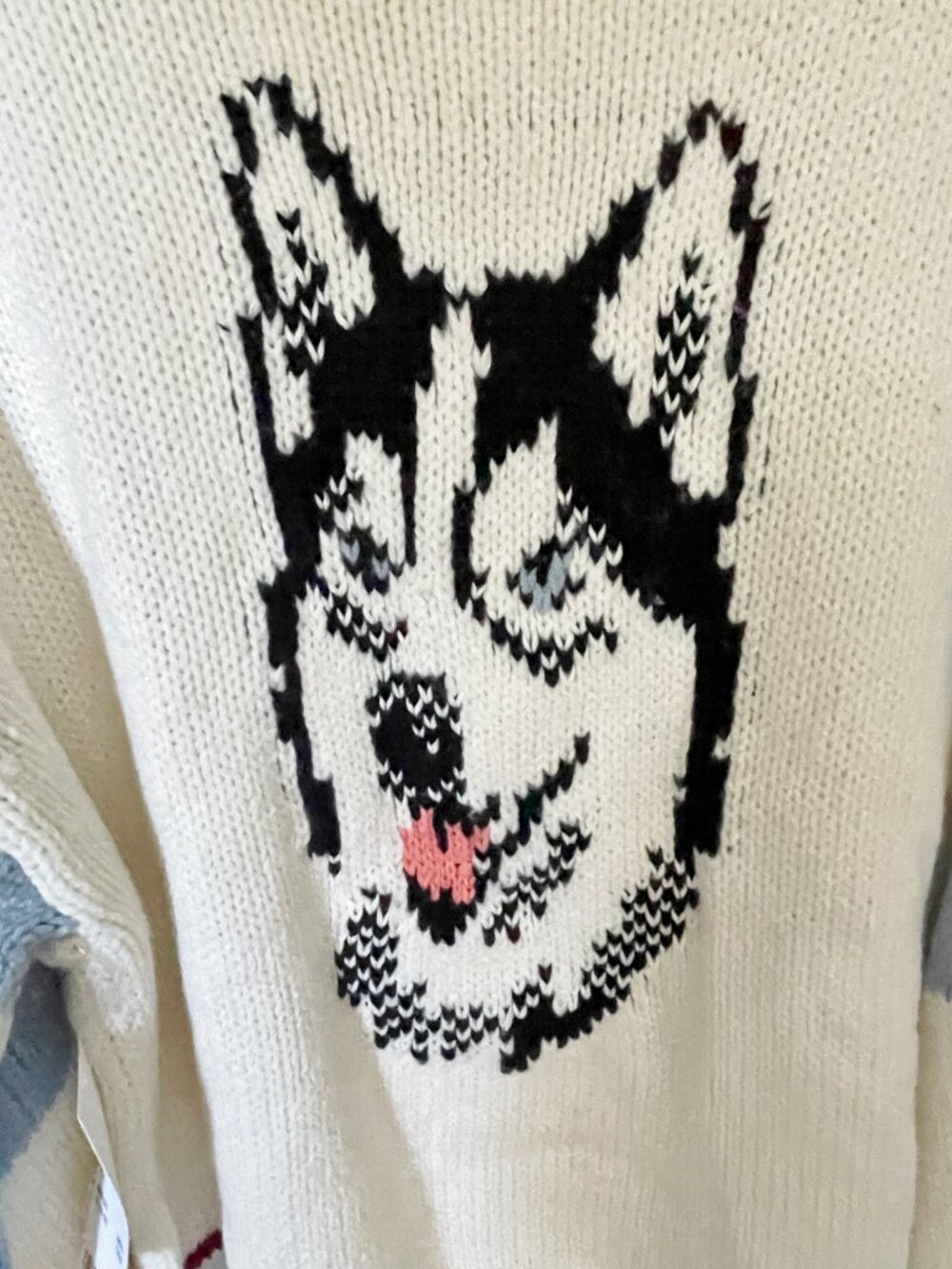 Urban Outfitters BDG Lizzie Alaska Husky Graphic Quarter Zip Pullover Sweater S - Picture 4 of 14